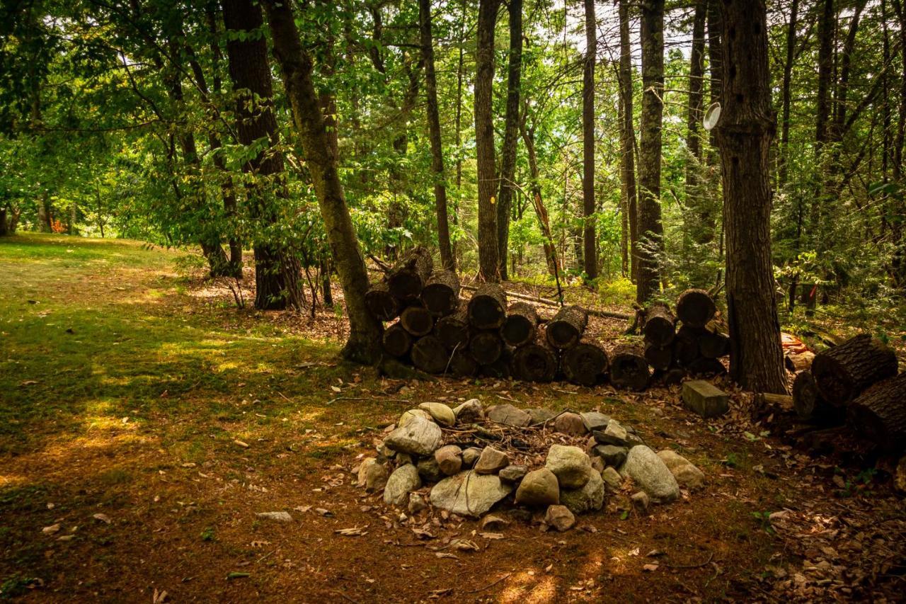 Hikers Haven, A Cozy Cabin Loft Above Bashakill Wildlife Refuge Villa Wurtsboro Exterior foto
